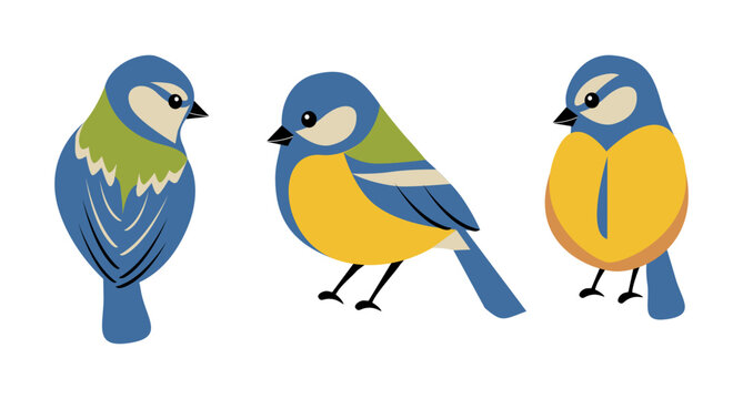 Set of cute spring birds, blue tit isolated on white background. Vector illustration in flat cartoon style.