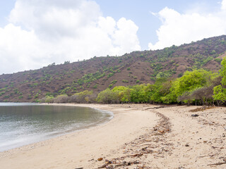 Natural scenery of the Komodo Island beach in Nusa Tenggara, Indonesia with untouched and wild habitat for Komodo Dragon consisting of white sand beach, wild forest and thick foliage and trees.