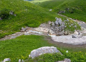 rocky banks of a mountain river with various types of vegetation in the summer.