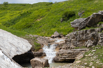 rocky banks of a mountain river with various types of vegetation in the summer.
