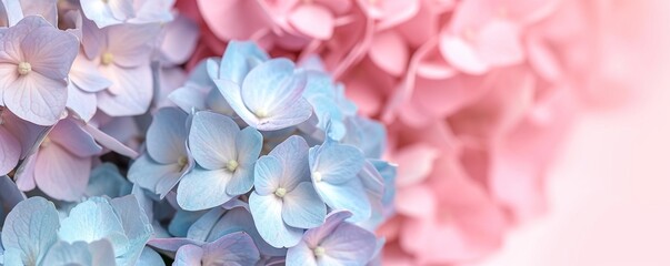 Obraz premium blue and yellow flowers