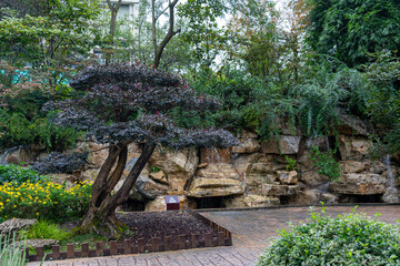 A tranquil and tidy garden with natural stone floor and wall that flows fresh water surrounded by...