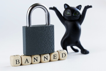 Inscription banned, closed padlock and dancing toy cat on white. Concept of firewall, banned internet forum, chat room, website, account, internet restriction. Photo. Selective focusing.