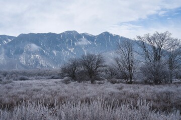 雪の風景
