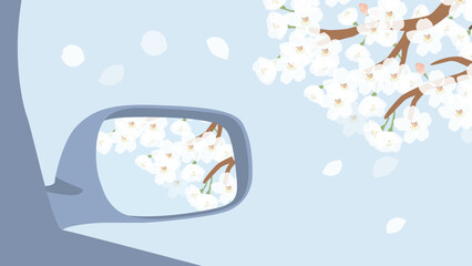 車のドアミラーに映る満開の桜