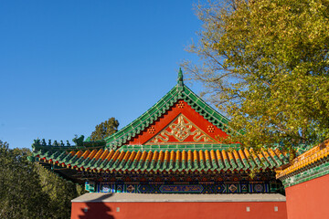 Beautiful Chinese architectural ornament adorning a triangular roof side of the lower palace at a historical traditional palace used by the Chinese Royal Families.
