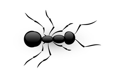 Black ant, 3D top view of soldier or worker ant, small bug with antennas and legs