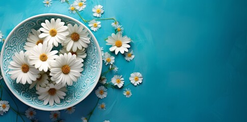 Top view of daisies in a bowl on a turquoise background.