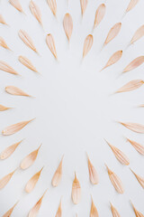 Obraz premium Frame of bright pink flower petals on white background. Creative minimal Parisian vibes floral composition with blank copy space