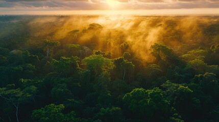 Fototapeta na wymiar Vibrant Sunset Over Lush Rainforest Canopy
