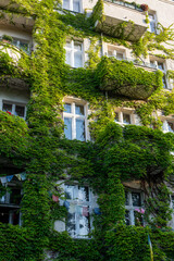 Growing Plants on the Facade of a residential green building 