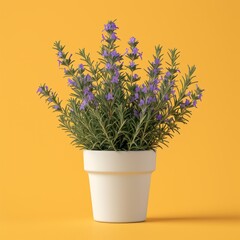 Rosemary in a pot, minimalist style, isolated on a simple yellow background. This professional image consists of a subtle gradient. soft shadows It emphasizes the overall elegance of the scene.