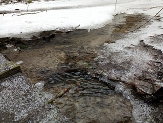 A small forest stream that was formed during the melting of snow during the spring thaw. Flow of water between snow and ice covered shores.