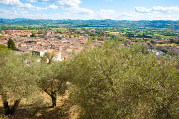 Fototapeta na wymiar Olive tree orchard in foreground of view over rooftops and across landscape in Umbria.