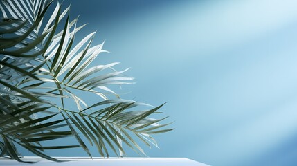 tropical palm leaves with shadow on blue background minimal nature summer styled flat lay free copy space for text