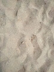 texture of Beach sand Background