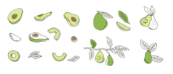 Set of avocado fruits outline Hand drawn sketch. Vector illustration isolated. Can used for wrapping, packaging, poster, cover design, textile and backdrop for cosmetic and food vegan products