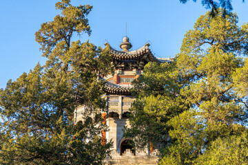 A majestic Chinese palace building with abundant fine carvings behind two large trees under clear...