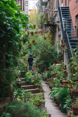Fototapeta na wymiar Urban gardening and sustainable urban farming practices