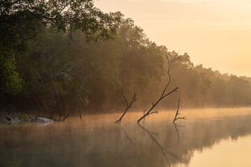 Scenic golden light landscape view of mangrove at dawn in Sundarbans national park, a UNESCO world heritage site, Bangladesh