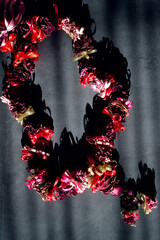 Top view of dry roses flower garland on dark background