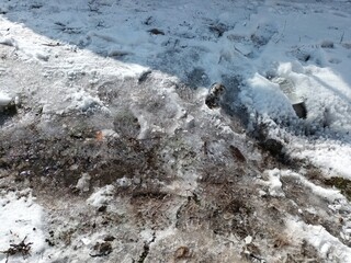 snow on the mountain