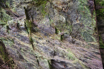 Rock wall with moss