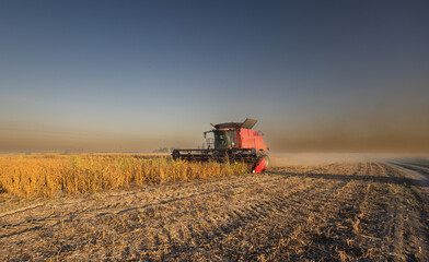 Fototapeta premium Harvesting of soybean field with combine.