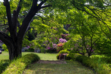 Rikugien Garden, Tokyo, Japan