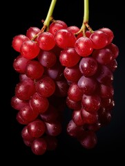 Fototapeta premium beautiful photo design UHD Wallpaper