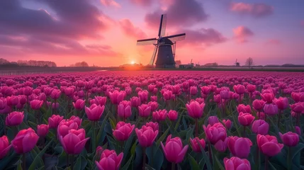 Poster windmill at sunset with a tulip field din the Netherlands © Fokke Baarssen