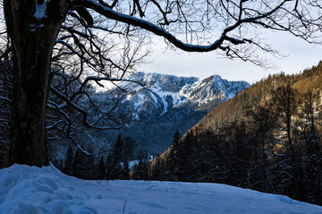 Sommet du Charmant Som sous la neige, au cœur du Parc naturel régional de Chartreuse depuis le...