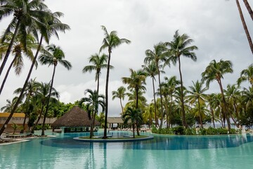 Fototapeta na wymiar Water, swiiming pool near hotel in Havana, Cuba with palm tree
