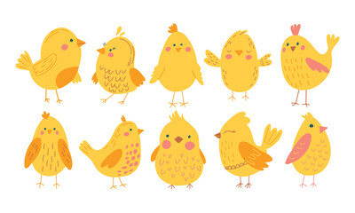 Vector color handdrawn cute easter set with chickens in flat style on a white background. Easter set
