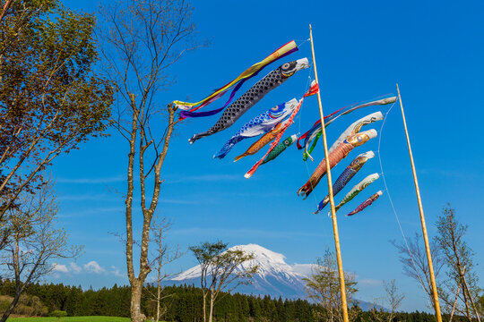 Iyashi 이미지 – 찾아보기 199 스톡 사진, 벡터 및 비디오 | Adobe Stock