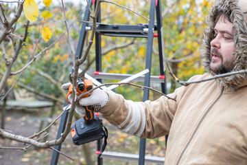 Male gardener prune fruit tree using battery powered pruning secateurs, shears. Pruning electric...