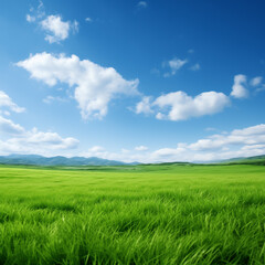 Obraz premium hintergrund, desktop, gras, feld, himmel, blau, wiese, grün, sommer, wolken, landschaft, background, desktop, grass, field, sky, blue, meadow, green, summer, clouds, landscape