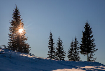 Frosty winter morning landscape on a mountain slope