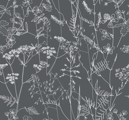 Seamless pattern. Field flowers and grasses, line drawing. Vector illustration	