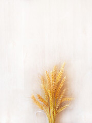 Ripe yellow wheat stands in the center, against a white wooden surface. Intended for a greeting card for the holiday of Shavuot, with free space for text