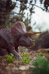 Prehistoric Wonder: Triceratops Roaming Free © J.M. Tornero