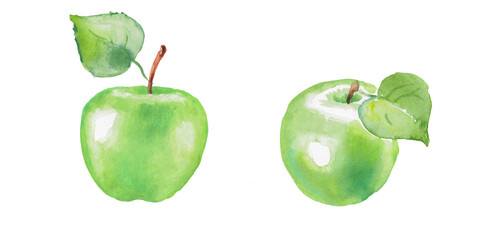 Watercolor hand painted illustration of  green apple, fruits, apple illustration, vegetarian food,...