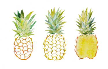 Hand painted watercolor illustration of  pineapples, fruit, ananas, pineapple illustration, sweet food, dessert, vegetarian food, watercolor illustration	