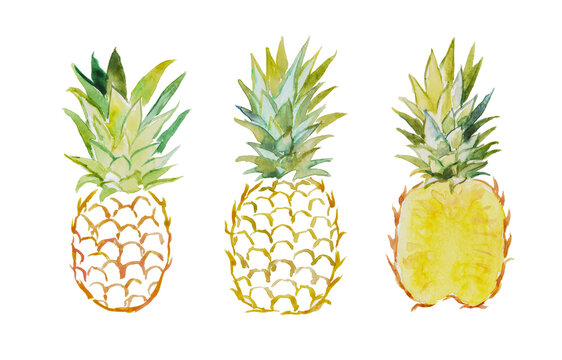 Hand painted watercolor illustration of  pineapples, fruit, ananas, pineapple illustration, sweet food, dessert, vegetarian food, watercolor illustration	