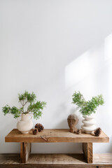 Rustic wooden bench with plant branch in vase and home decor in living room