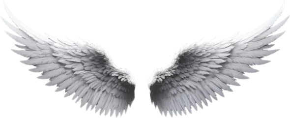 Foto op Plexiglas White angel wing isolated on transparent background, Generative AI. © emojoez