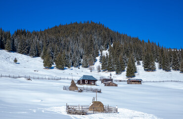 Landscape with a rural household in a mountain village in winter. An isolated house in the countryside on a slope covered with snow
