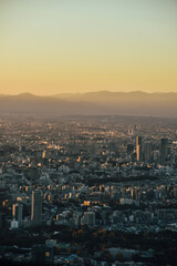 Foto del atardecer sobre los edificios de Tokio, Japón, desde las alturas con las montañas de fondo.