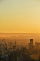 Foto del atardecer en la ciudad de Tokio en Jap&oacute;n.