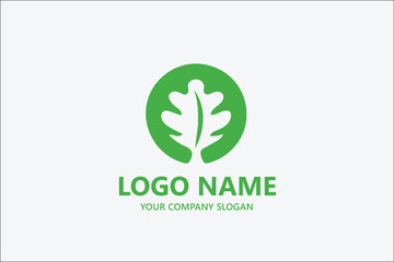 Oak maple vector Leaf logo template